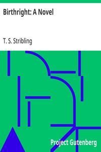 Birthright: A Novel — T. S. (Thomas Sigismund) Stribling cover