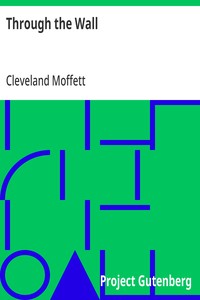 Through the Wall — Cleveland Moffett cover
