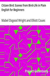 Citizen Bird: Scenes from Bird-Life in Plain English for Beginners — Mabel Osgood Wright cover