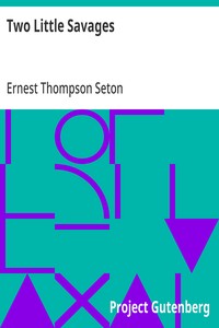 Two Little Savages: Being the adventures of two boys who lived as Indians and what they learned — Ernest Thompson Seton cover