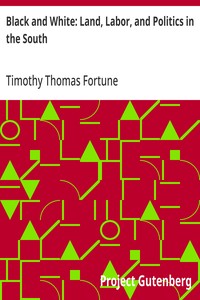 Black and White: Land, Labor, and Politics in the South — Timothy Thomas Fortune cover
