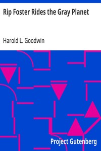 Rip Foster Rides the Gray Planet — Harold L. (Harold Leland) Goodwin cover