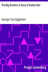 The Big Brother: A Story of Indian War cover