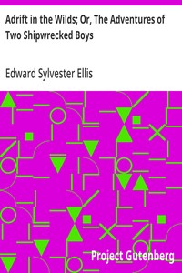 Adrift in the Wilds; Or, The Adventures of Two Shipwrecked Boys — Edward Sylvester Ellis cover
