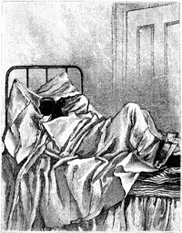 St. Nicholas Magazine for Boys and Girls, Vol. 5, July 1878, No. 9 — Various cover