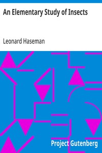 An Elementary Study of Insects — Leonard Haseman cover