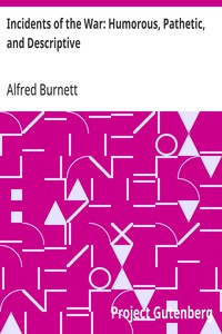 Incidents of the War: Humorous, Pathetic, and Descriptive — Alfred Burnett cover