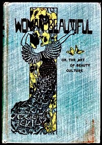 The Woman Beautiful; or, The Art of Beauty Culture — Helen Follett Jameson cover