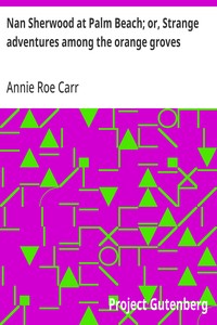Nan Sherwood at Palm Beach; or, Strange adventures among the orange groves — Annie Roe Carr cover