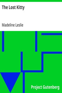 The Lost Kitty — Madeline Leslie cover