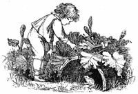 Wood Magic: A Fable cover
