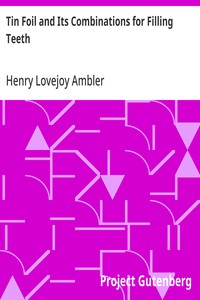 Tin Foil and Its Combinations for Filling Teeth — Henry Lovejoy Ambler cover