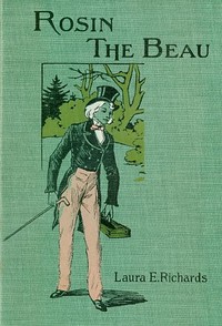 Rosin the Beau — Laura Elizabeth Howe Richards cover