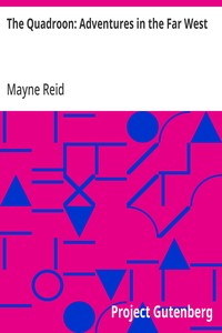 The Quadroon: Adventures in the Far West — Mayne Reid cover
