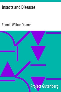 Insects and Diseases: A Popular Account of the Way in Which Insects may Spread or Cause some of our Common Diseases — Rennie Wilbur Doane cover