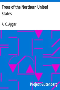 Trees of the Northern United States: Their Study, Description and Determination — A. C. (Austin Craig) Apgar cover