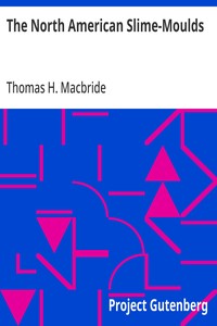 The North American Slime-Moulds: A Descriptive List of All Species of Myxomycetes Hitherto Reported from the Continent of North America, with Notes on Some Extra-Limital Species — Thomas H. (Thomas Huston) Macbride cover