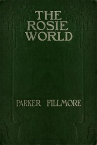 The Rosie World cover