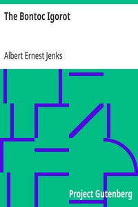 The Bontoc Igorot — Albert Ernest Jenks cover