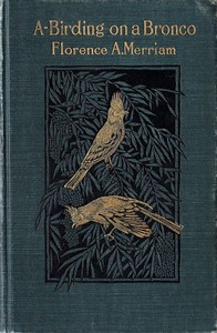 A-Birding on a Bronco cover