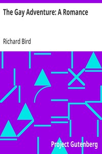 The Gay Adventure: A Romance — Richard Bird cover