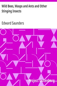 Wild Bees, Wasps and Ants and Other Stinging Insects — Edward Saunders cover
