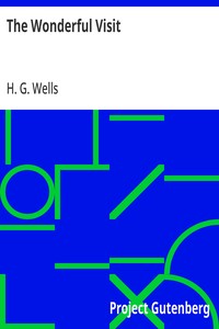 The Wonderful Visit — H. G. (Herbert George) Wells cover