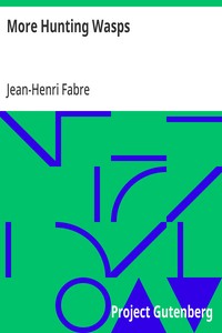 More Hunting Wasps — Jean-Henri Fabre cover