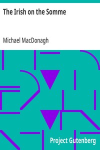 The Irish on the Somme: Being a Second Series of 'The Irish at the Front' — Michael MacDonagh cover