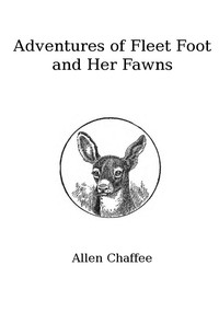 The Adventures of Fleet Foot and Her Fawns: A True-to-Nature Story for Children and Their Elders — Allen Chaffee cover