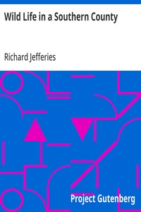 Wild Life in a Southern County — Richard Jefferies cover
