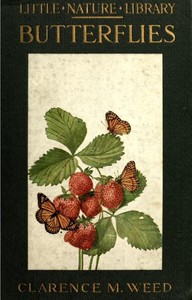 Butterflies Worth Knowing — Clarence Moores Weed cover