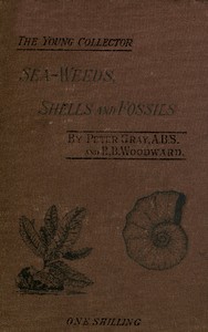 Sea-Weeds, Shells and Fossils — Peter Gray cover