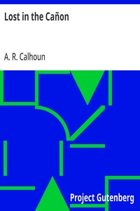 Lost in the Cañon: The Story of Sam Willett's Adventures on the Great Colorado of the West — A. R. (Alfred Rochefort) Calhoun cover