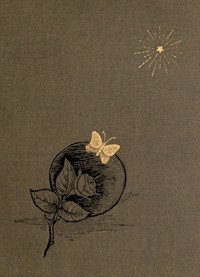 An Ambitious Woman: A Novel — Edgar Fawcett cover
