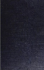 Astronomy: The Science of the Heavenly Bodies — David P. (David Peck) Todd cover