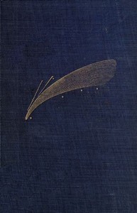 Astronomical Curiosities: Facts and Fallacies — J. Ellard (John Ellard) Gore cover