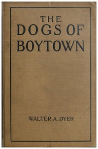 The Dogs of Boytown — Walter A. (Walter Alden) Dyer cover