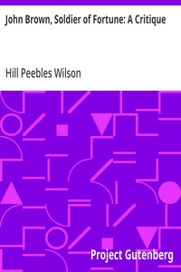 John Brown, Soldier of Fortune: A Critique — Hill Peebles Wilson cover