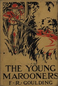 The Young Marooners on the Florida Coast — F. R. (Francis Robert) Goulding cover