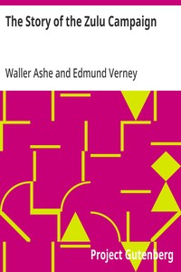 The Story of the Zulu Campaign — Waller Ashe cover
