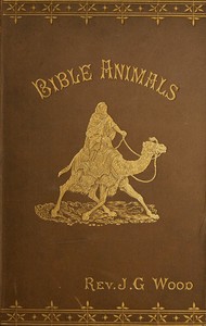 Bible animals : $b being a description of every living creature mentioned in the Scripture, from the ape to the coral. — J. G. (John George) Wood cover