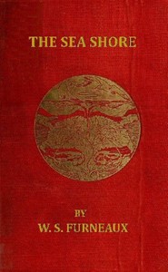 The Sea Shore — William S. Furneaux cover