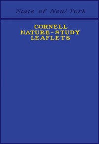 Cornell Nature-Study Leaflets: Being a selection, with revision, from the teachers' leaflets, home nature-study lessons, junior naturalist monthlies and other publications from the College of Agriculture, Cornell University, Ithaca, N.Y., 1896-1904 — New York State College of Agriculture cover