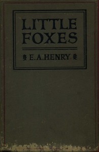 Little Foxes: Stories for Boys and Girls — E. A. Henry cover