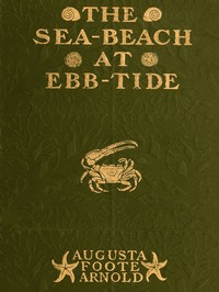 The Sea-beach at Ebb-tide: A Guide to the Study of the Seaweeds and the Lower Animal Life Found Between Tide-marks — Augusta Foote Arnold cover