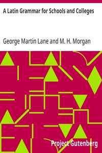 A Latin Grammar for Schools and Colleges — George Martin Lane cover