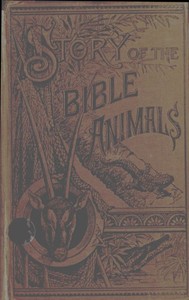 Story of the Bible Animals: A Description of the Habits and Uses of every living Creature mentioned in the Scriptures, with Explanation of Passages in the Old and New Testament in which Reference is made to them — J. G. (John George) Wood cover