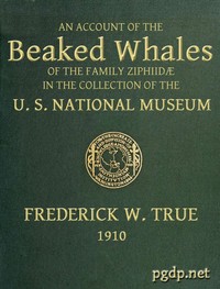 The Beaked Whales of the Family Ziphiidae: An Account of the Beaked Whales of the Family Ziphiidae in the Collection of the United States Museum... — Frederick W. (Frederick William) True cover
