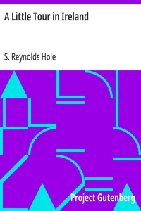 A Little Tour in Ireland — S. Reynolds (Samuel Reynolds) Hole cover